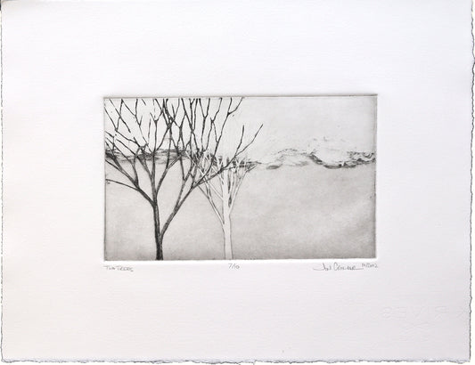 Original Intaglio Print; Original Art; Jon Crowder; Beach House Gallery